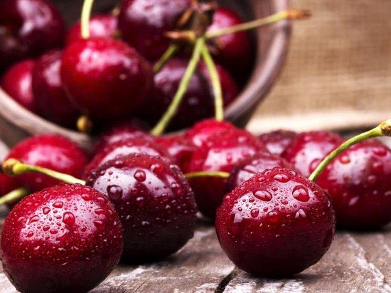 Вишня купить саженцы из питомника в Североморске